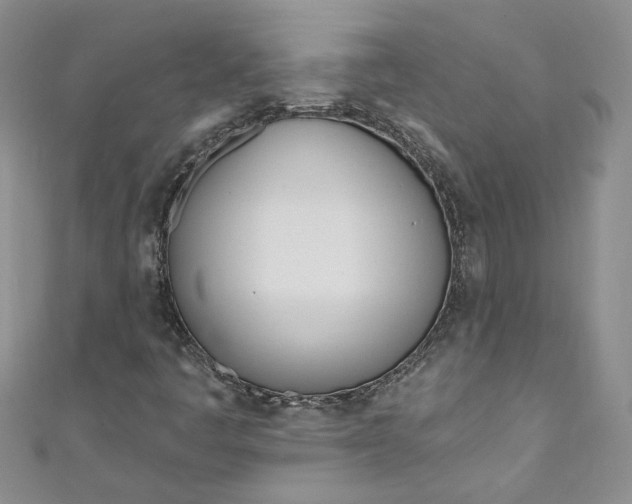 X0000110901445200907021528