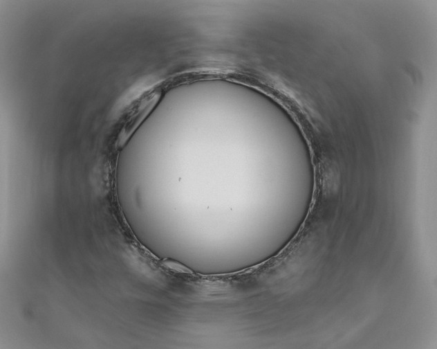 X0000110901448200907021528