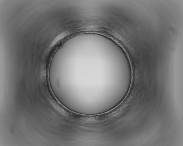 X0000110901450200907021528