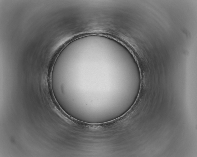 X0000110901452200907021528