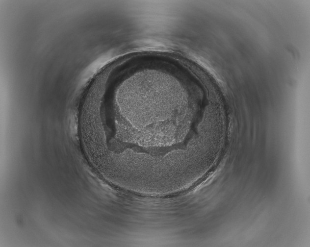 X0000110901455200907021528