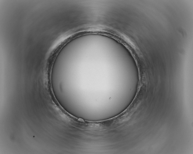 X0000110901456200907021528