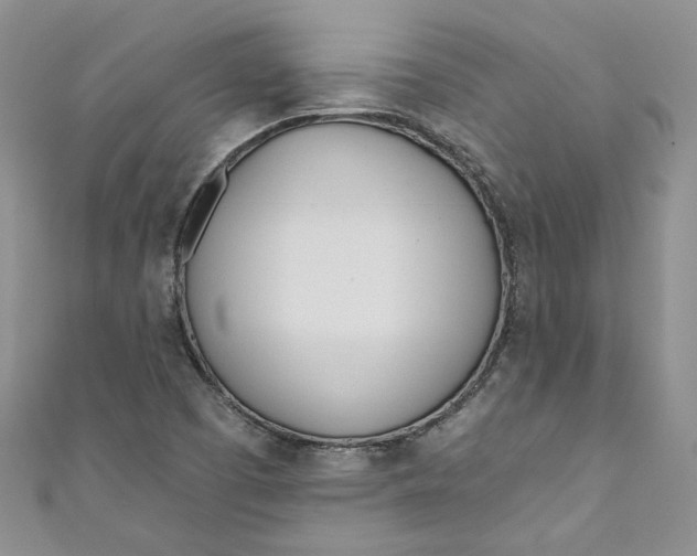 X0000110901457200907021528