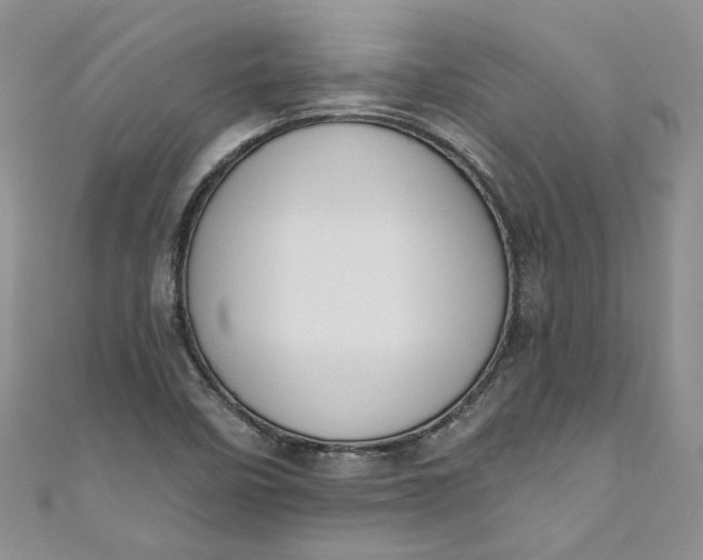 X0000110901458200907021528