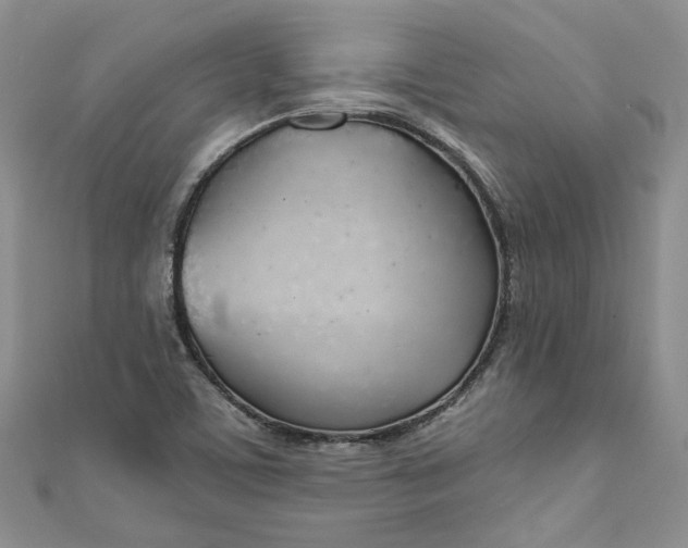 X0000110901459200907021528