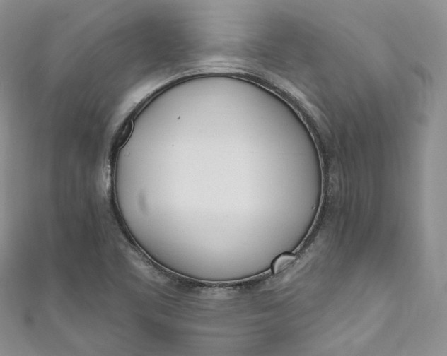 X0000110901461200907021528