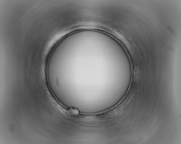 X0000110901464200907021528