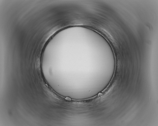 X0000110901465200907021528