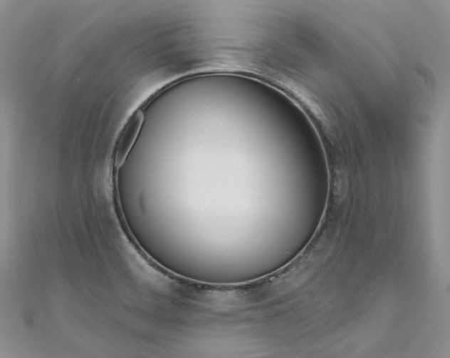 X0000110901468200907021528