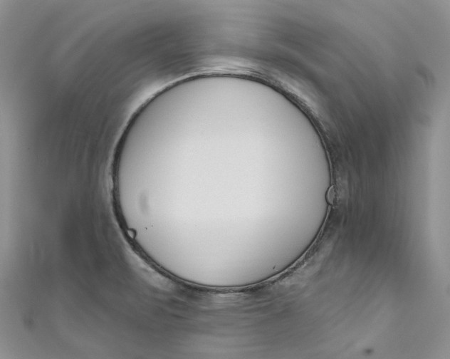 X0000110901471200907021527