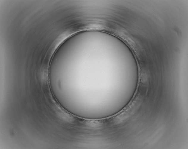 X0000110901473200907021527