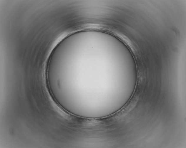 X0000110901475200907021527