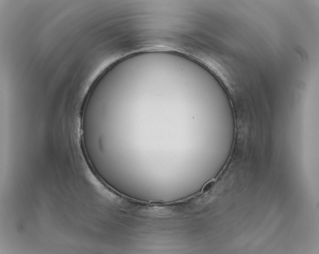 X0000110901476200907021527