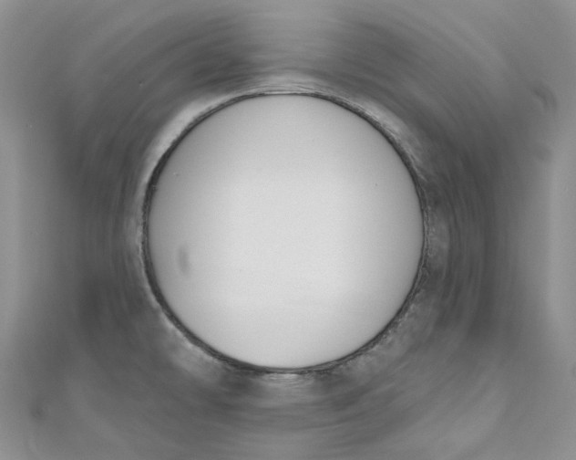 X0000110901478200907021527