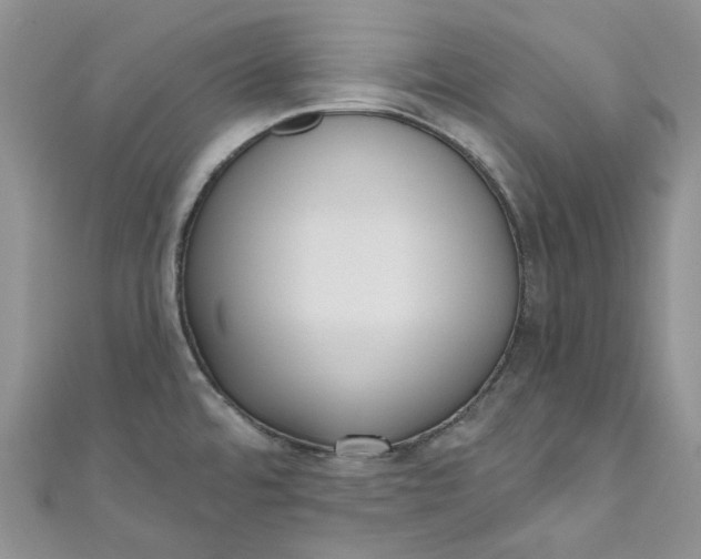 X0000110901480200907021527