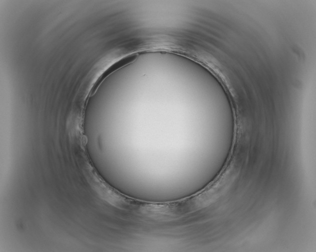 X0000110901481200907021527