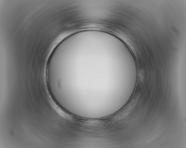 X0000110901482200907021527