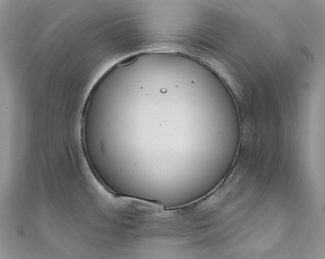 X0000110901484200907021527