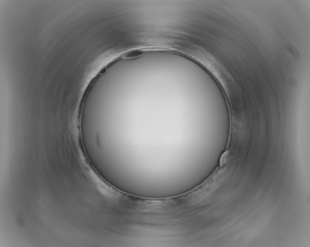 X0000110901485200907021527