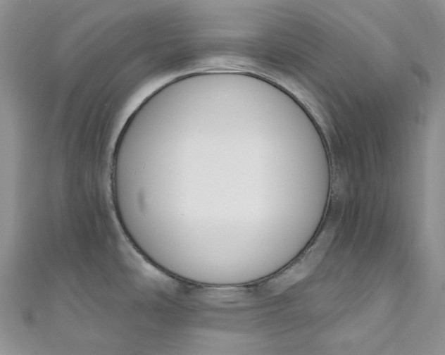 X0000110901486200907021527
