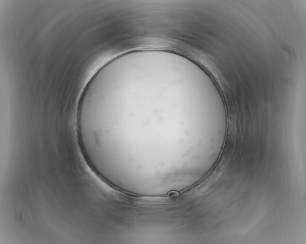 X0000110901487200907021527