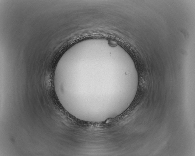 X0000110901490200907021527