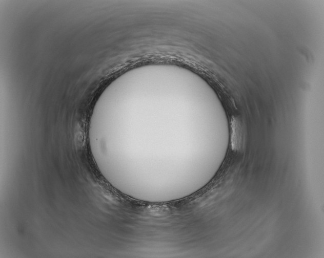 X0000110901491200907021527