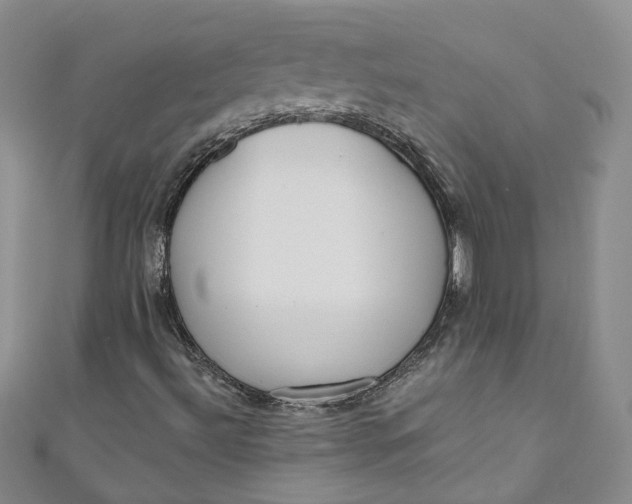 X0000110901492200907021527