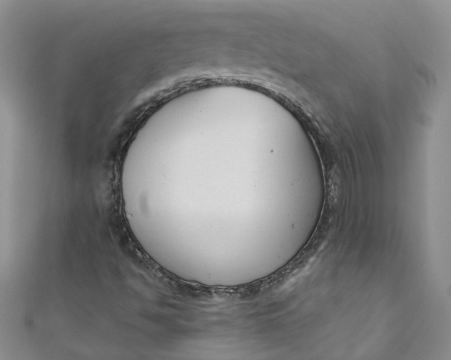 X0000110901494200907021527