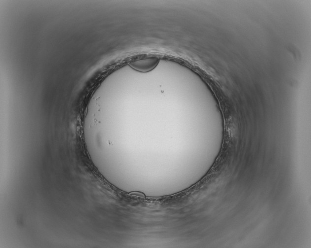 X0000110901495200907021527