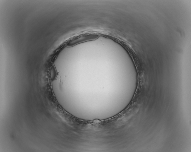 X0000110901496200907021527
