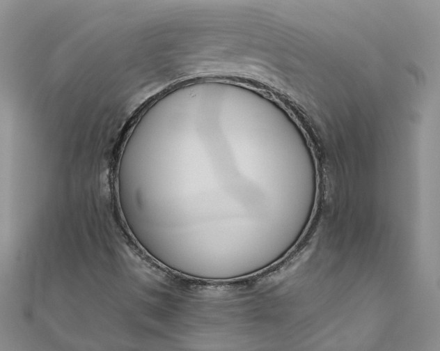 X0000110901497200907021527