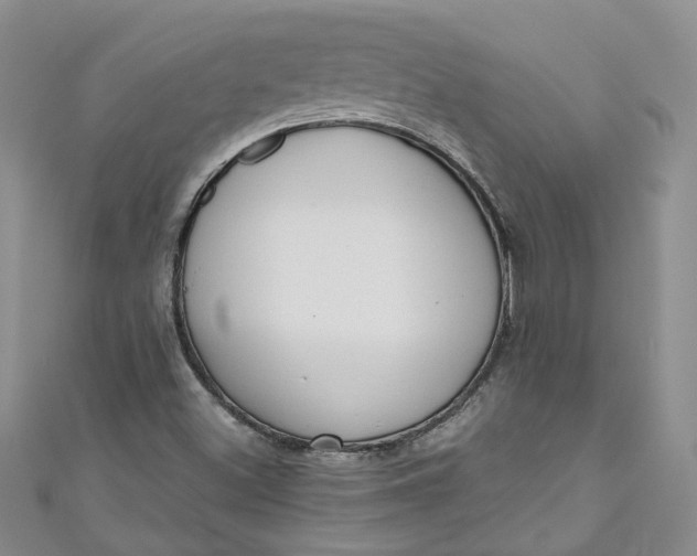 X0000110901500200907021527
