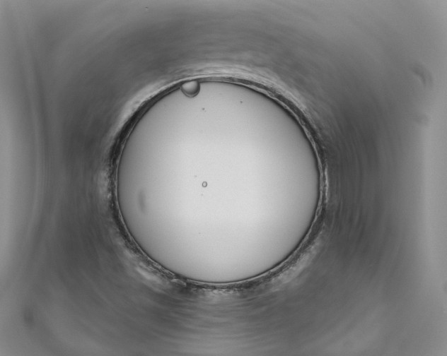 X0000110901501200907021527