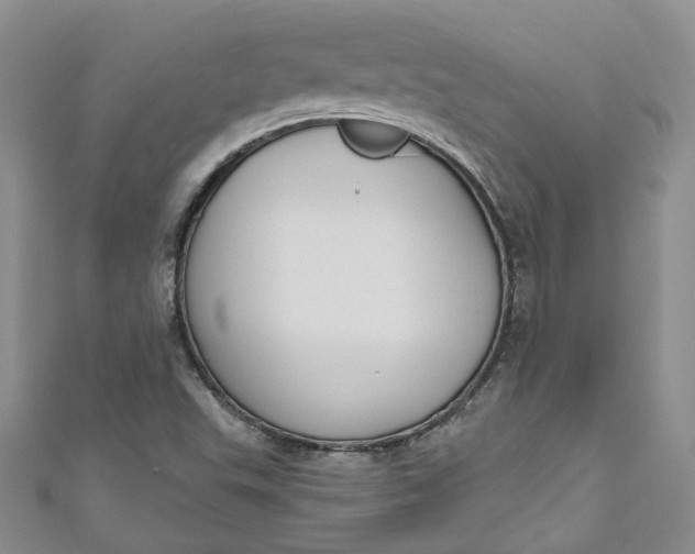 X0000110901503200907021527