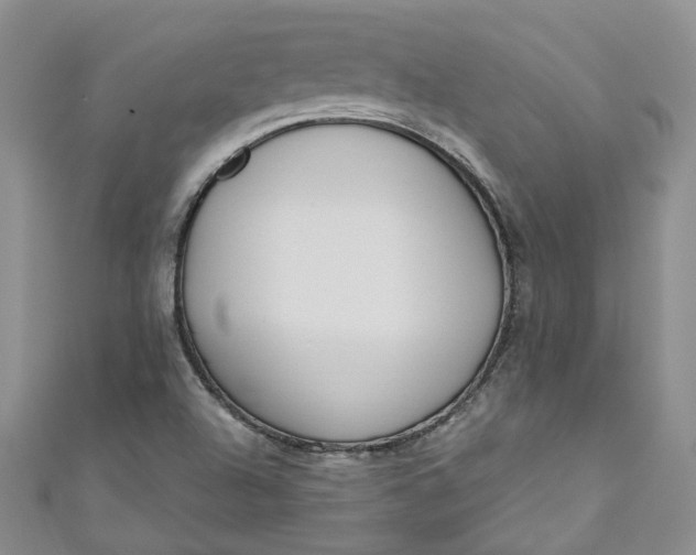 X0000110901504200907021527
