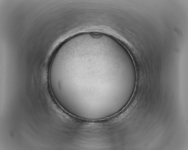 X0000110901506200907021527