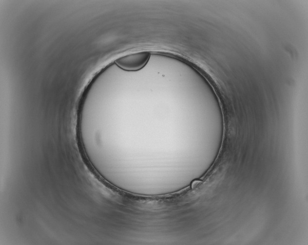X0000110901508200907021527