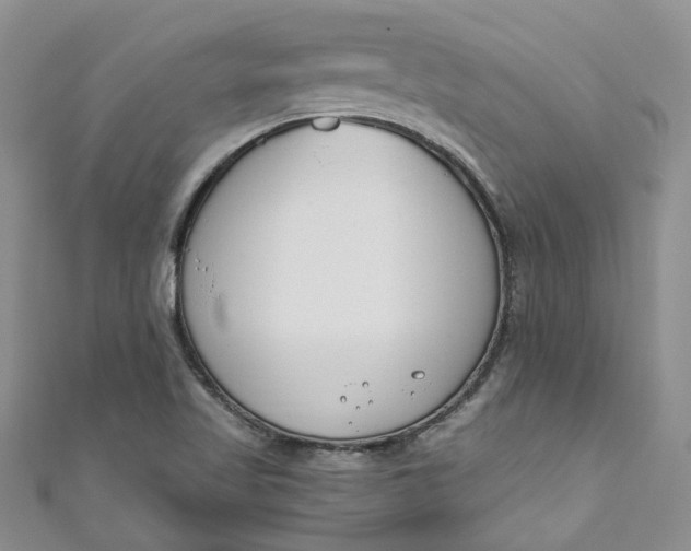 X0000110901509200907021527