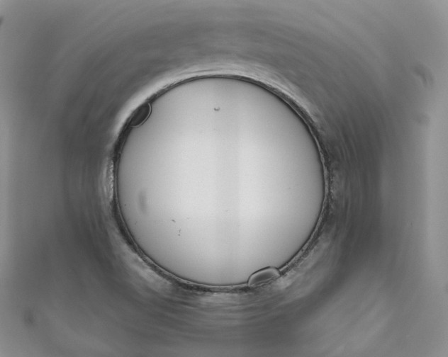X0000110901510200907021527