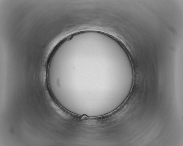 X0000110901511200907021527