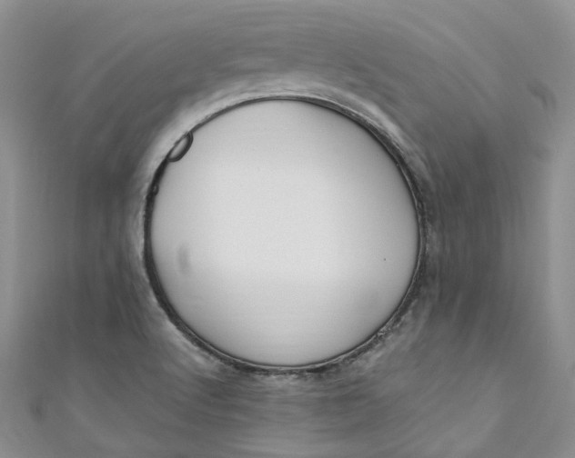 X0000110901512200907021527