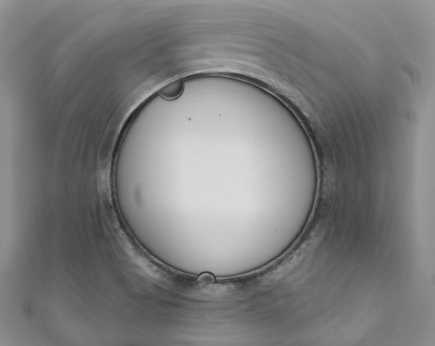 X0000110901513200907021527