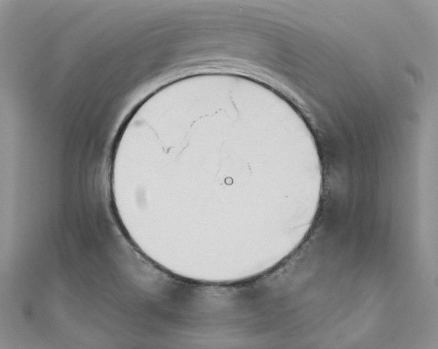 X0000110901514200907021527