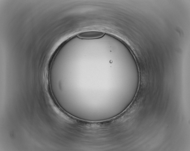 X0000110901515200907021527