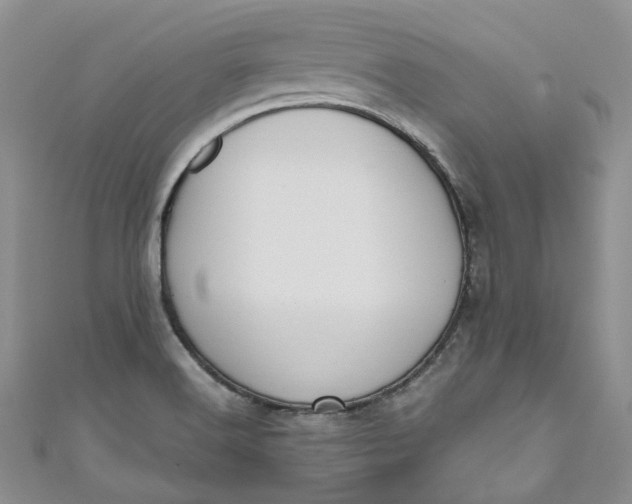 X0000110901516200907021527