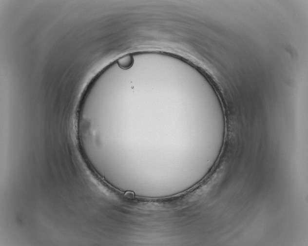 X0000110901517200907021527
