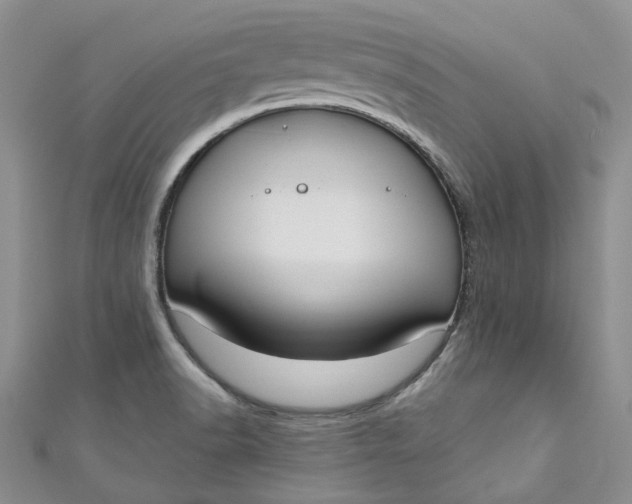 X0000110901518200907021527