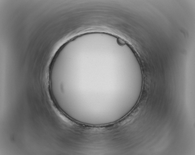 X0000110901519200907021527