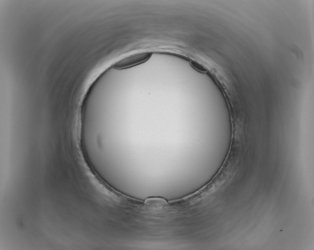 X0000110901520200907021527